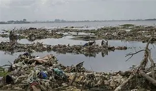 Image for Abidjan : La Perle des Lagunes, un carrefour d'opportunités