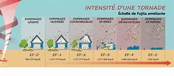 Image for Alerte au vent : Comprendre les risques et se protéger efficacement