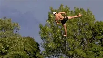 Image for Championnat du Portugal : Plongeon au cœur de la Liga Portugal Bwin