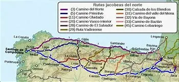 Image for Chemin de Compostelle : Guide complet pour votre pèlerinage