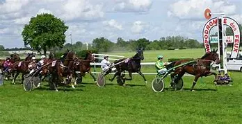 Image for Equestria Live : Plongez au Cœur de l'Action des Courses Hippiques