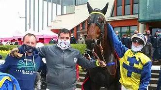 Image for Eric Raffin : L'As des Pistes du Trot Français