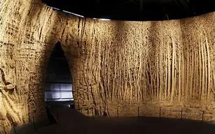 Image for Eva Jospin : L'Art de la Forêt Sculptée en Carton