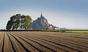 Image for Gruissan : Un joyau méditerranéen entre terre et mer