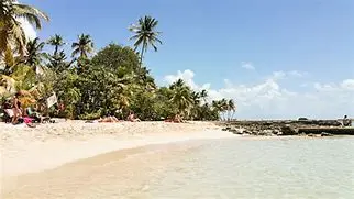 Image for Guadeloupe : Explorez l'île papillon des Caraïbes