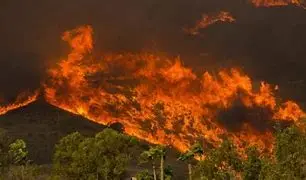 Image for Incendies en Californie : Causes, Conséquences et Solutions
