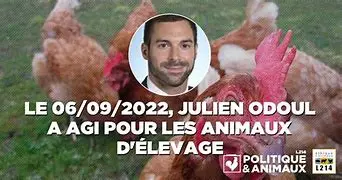 Image for Julien Odoul : Biographie, parcours et analyse politique