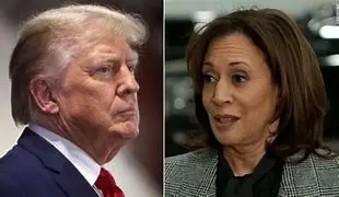 Image for Kamala Harris vs Donald Trump : Décryptage des Sondages et Analyse
