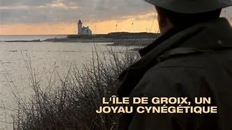 Image for L'Île de Groix : Un joyau breton à découvrir