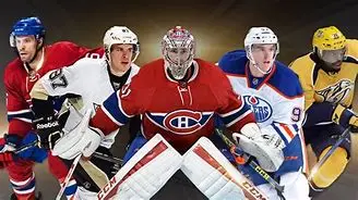 Image for La LNH : Le Guide Ultime de la Ligue Nationale de Hockey
