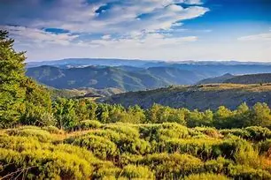 Image for La Lozère : Un joyau sauvage au cœur du Massif Central