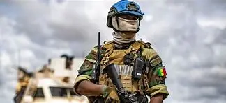 Image for Le Mali : Un Voyage au Cœur de l'Afrique de l'Ouest