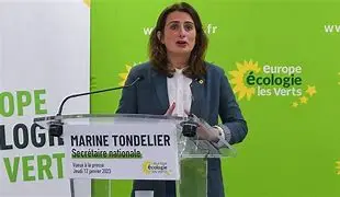 Image for Marine Tondelier: Une Voix Forte pour l'Écologie et la Justice Sociale