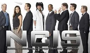 Image for NCIS : Enquêtes Spéciales - Une plongée au cœur de la série