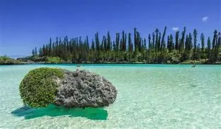 Image for Nouvelle-Calédonie : Un paradis dans le Pacifique Sud