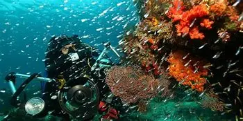 Image for Papouasie : Un voyage au cœur d'une terre sauvage et fascinante
