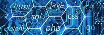 Image for PL/SQL : Le Langage de Programmation des Bases de Données Oracle