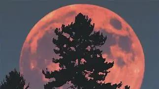 Image for Pleine Lune d'Octobre 2024 : La Lune du Chasseur et son Influence Mystique