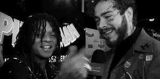 Image for Post Malone : Biographie, Musique et l'Ascension d'une Icône Moderne