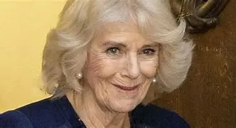 Image for Santé de la Reine Camilla : Actualités, Rumeurs et Informations