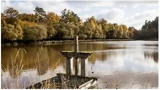 Image for Sologne : forêts, étangs et châteaux au cœur de la France