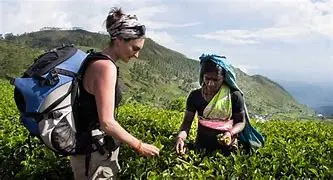 Image for Sri Lanka : Un Voyage au Coeur de l'Île Emeraude