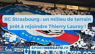 Image for Thierry Laurey : Un parcours forgé sur le terrain