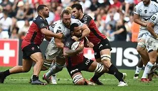 Image for Toulon Harlequins : Une Légende du Rugby Français